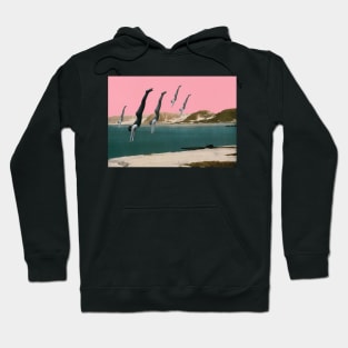 Dive Hoodie